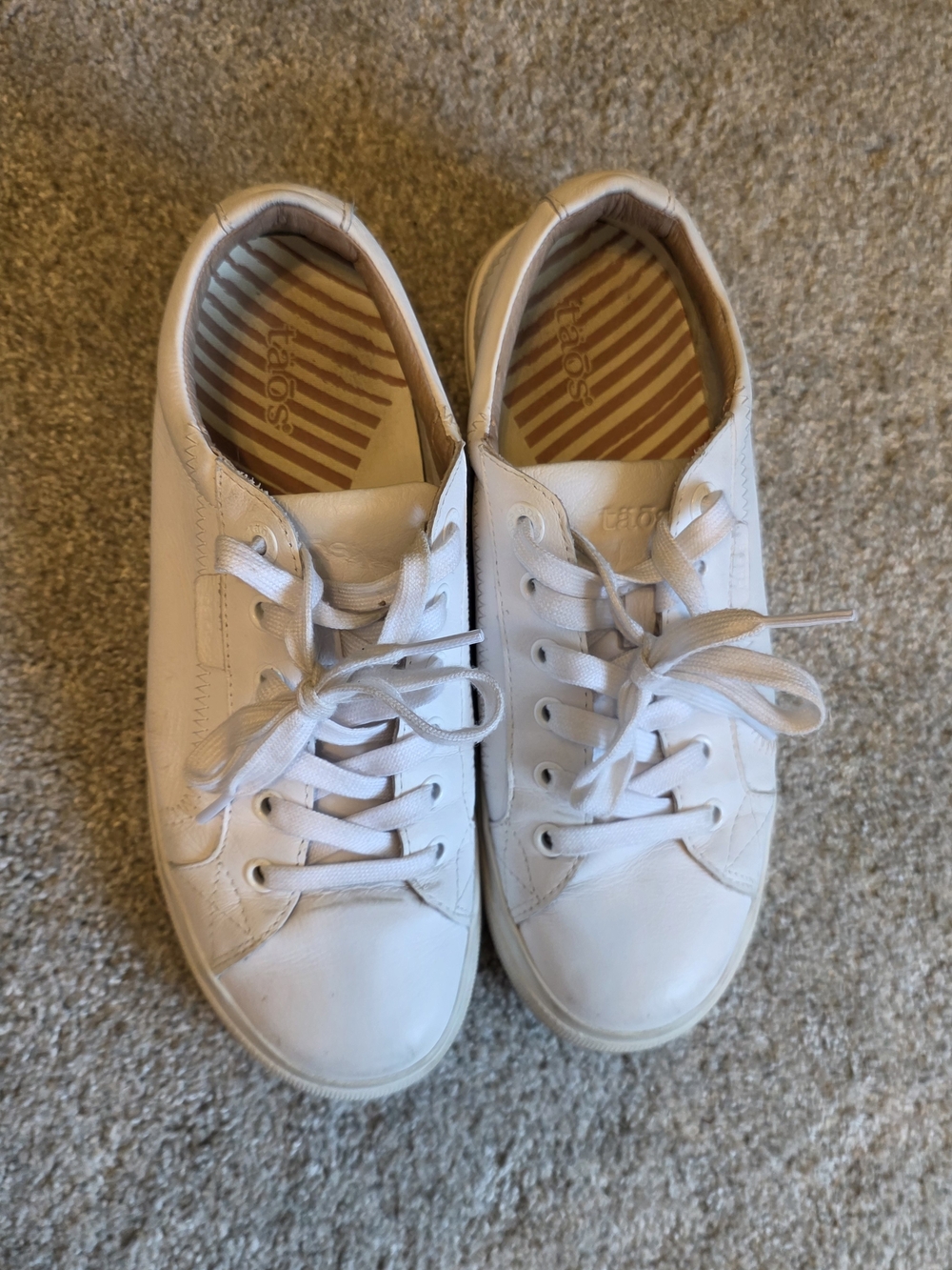 Taos Footwear White Leather Lace-Up Sneakers